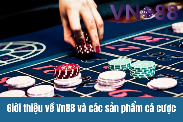 khuyến mãi cá cược bóng đá Vn88 2 Giới thiệu về Vn88 và các sản phẩm cá cược