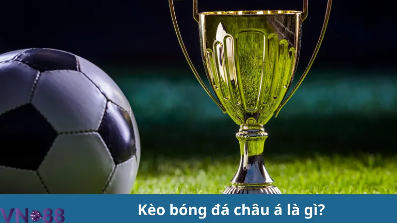 Kèo bóng đá Châu Á, cách đọc kèo đơn giản dễ hiểu cho người mới 2 kèo bóng đá châu á