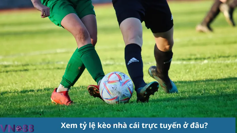 Tỷ lệ kèo nhà cái trực tuyến, cập nhật nhanh từng trận đấu 3 Tỷ lệ kèo nhà cái trực tuyến